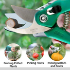 Stainless Steel Garden Scissors, flower cutter