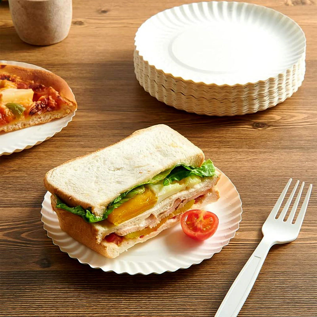 Freshee 9 Inch Round Compostable Paper Plate – 25 Pcs Pack